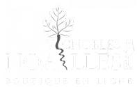 Vignobles NOAILLES