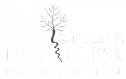 Vignobles NOAILLES