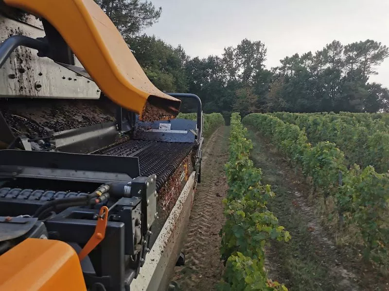 Vignoble, Blaye, Vignobles NOAILLES