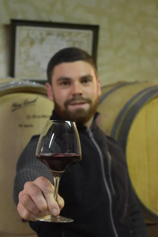 Vignoble, Blaye, Vignobles NOAILLES