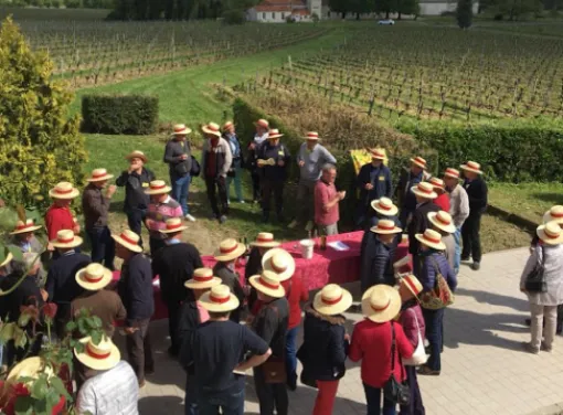Visite guidée et dégustation de vin à Teuillac, Blaye, Vignobles NOAILLES