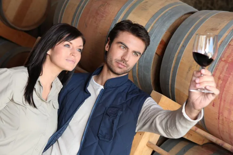 Dégustation d'un vieux millésime exclusif lors d'un séminaire, Blaye, Vignobles NOAILLES