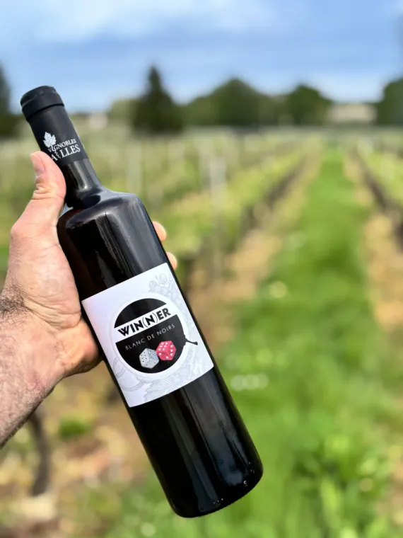 blanc de noirs Winner