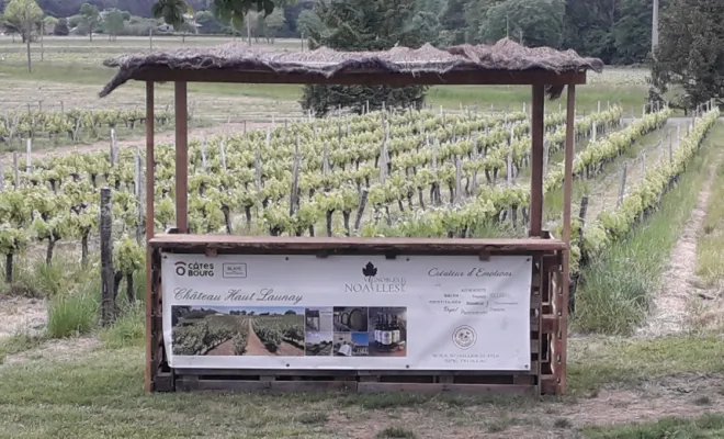 PORTES OUVERTES EN CÔTES DE BOURG 8, 9 et 10 MAI, Bourg, Vignobles NOAILLES