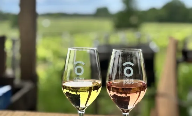 PORTES OUVERTES du Château Haut Launay  -  8, 9 et 10 MAI, Bourg, Vignobles NOAILLES