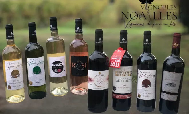 Paniers garnis pour les Fêtes, Bourg, Vignobles NOAILLES
